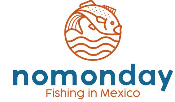 Logo nomonday.mx