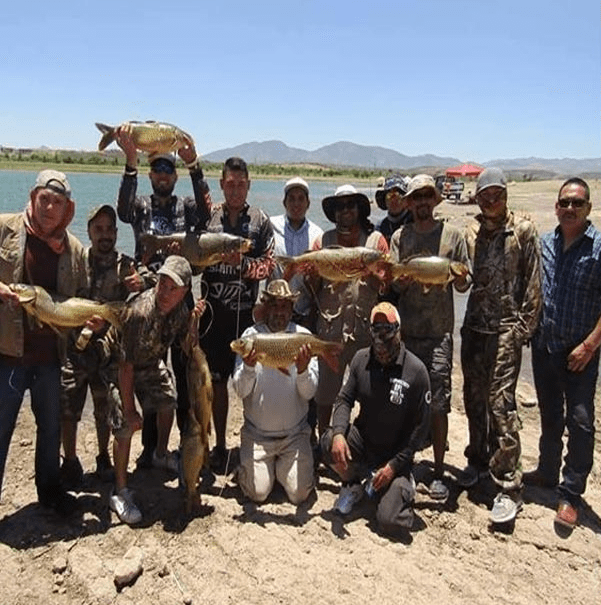 captura de carpas en presa chihuahua