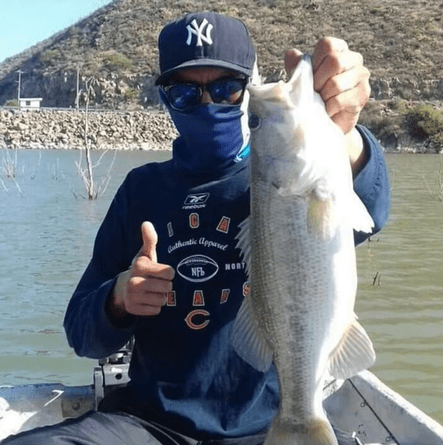 Captura de lobina en Presa Palo Blanco en Ramos Arizpe Coahuila Mexico 25