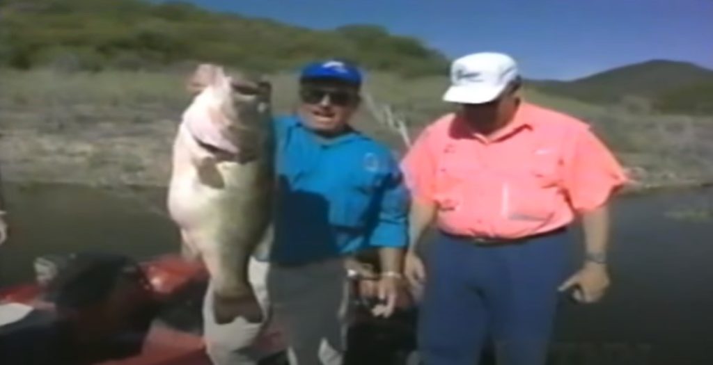 19-pound Bass Caught in California - Wired2Fish