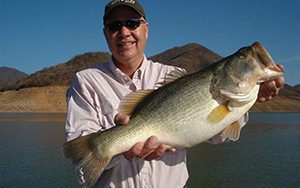 Bruce Knuston dostiene una lobina trofeo en la presa de Bacurato, su récord nacional es de 8.66kg 