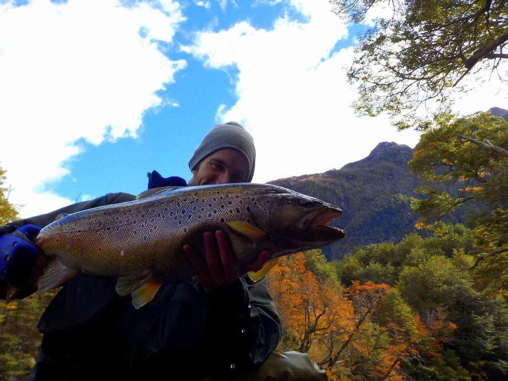 Angler shows his trout catching in Villa la Angostura, Patagonia, Argentina / Pescador deportivo muestra captura de trucha en Villa la Angostura, La Patagonia, Argentina