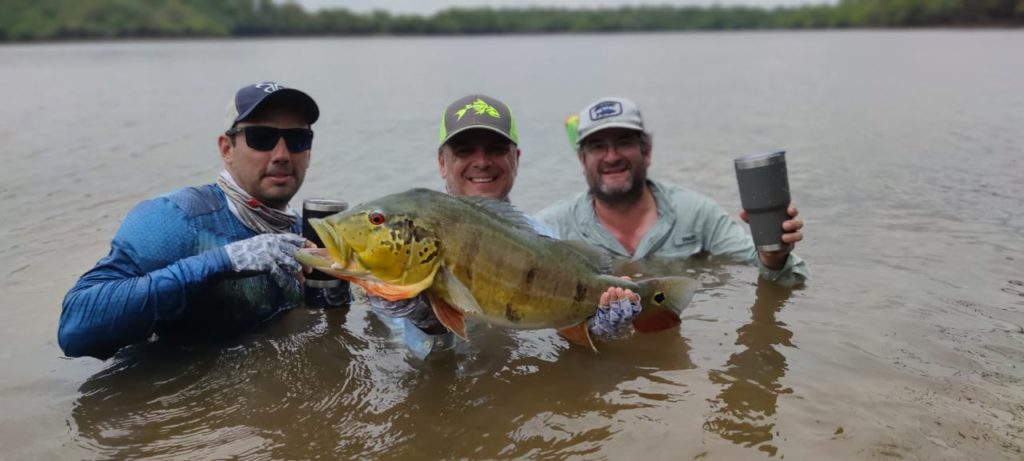 Anglers catches Peacock Bass Lake Tomo