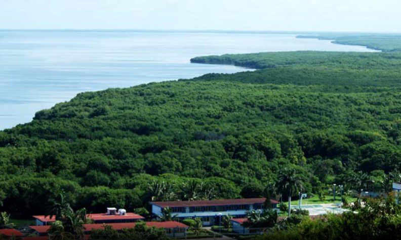 Mangroves in Campeche / Manglares en Campeche