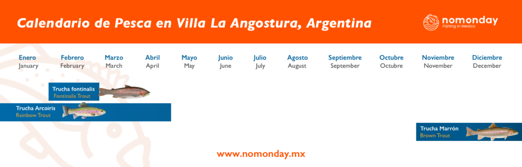 Sportfishing calendar with fly fishing Villa Angostura Argentina mainly truCha is caught.