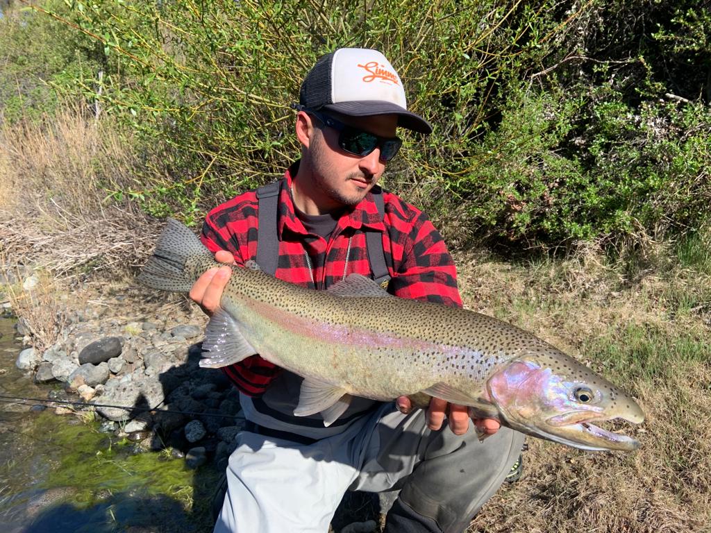 Angler catch rainbow trout Argentina