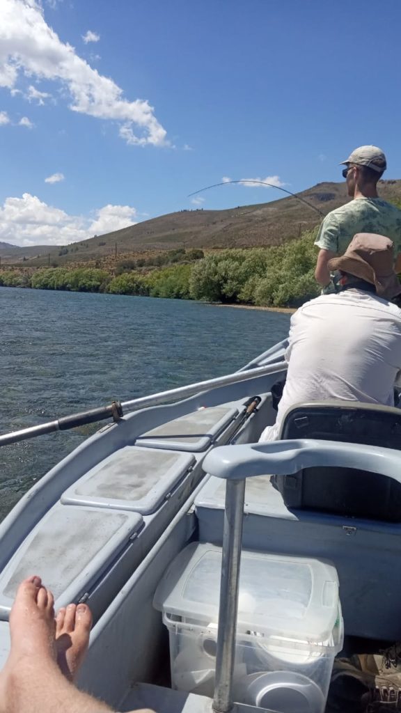 Angler in the limay river