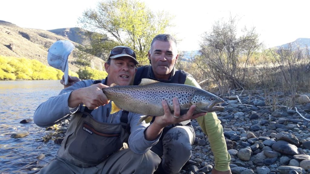 Angler´s with brown trout Argentina
