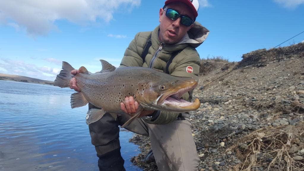 Angler with brown trout Tierra del Fuego Argentina