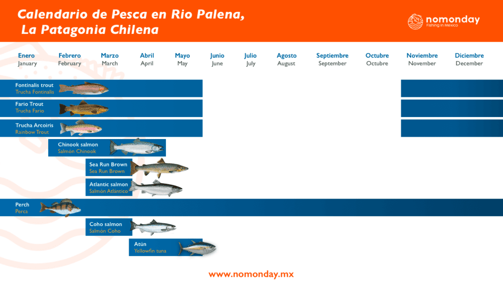 Calendario de pesca deportiva y pesca con mosca en Isla grandeTierra de fuego Argentina. Se puede pescar Trucha Fontinalis y Trucha Marron