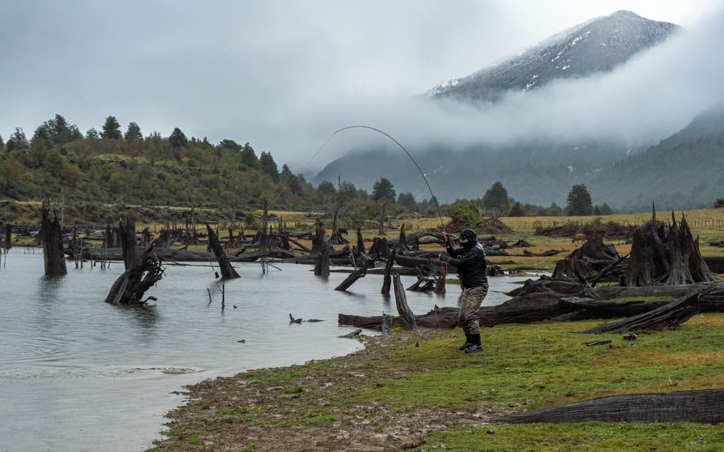 Shore fly fishing at Simpson River Mañihuales Chile