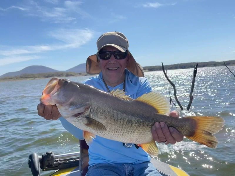 Very big largemouth bass caught fishing in el Salto lake, in Sinaloa, Mexico.