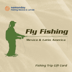 Fly fishing trip Gift Card ⋆ Nomonday