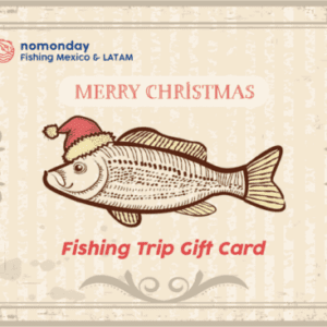 Merry Christmas - Fishing Giftcard 01