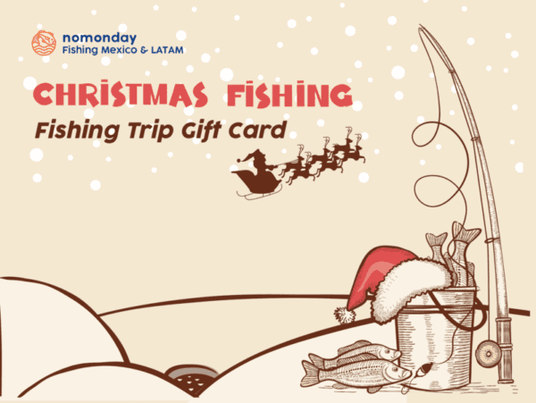 Merry Christmas - Fishing Giftcard 02