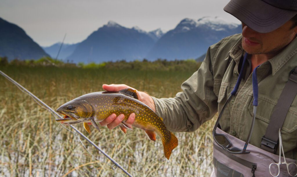 Angler with brown trout at Yelcho La Patagonia Chile