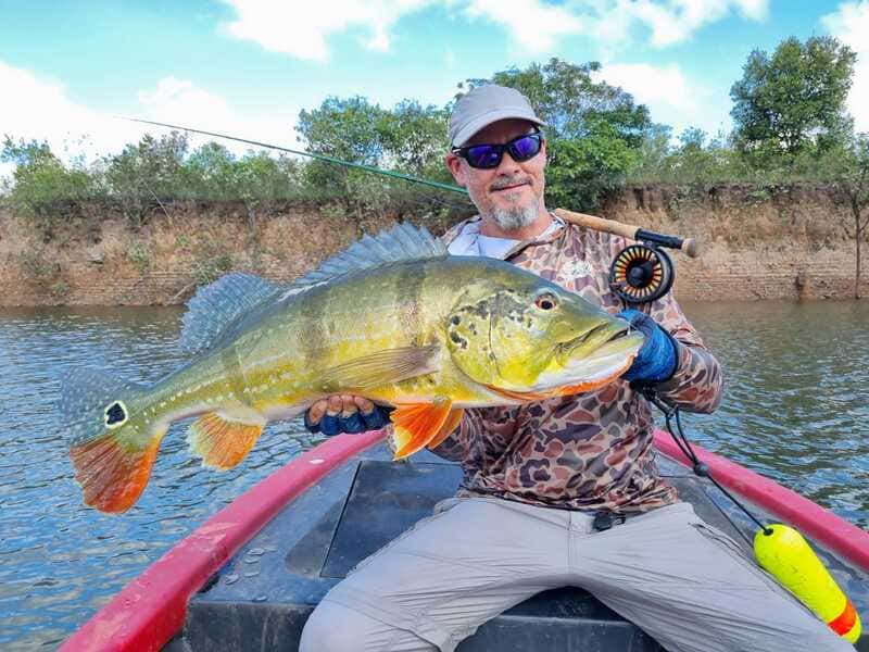 Angler with gorgeous peacock bass catch at Cano Gavilan Vichada Colombia