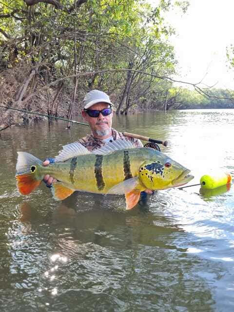 Angler with beautiful peacock bass catch at Cano Gavilan Vichada Colombia