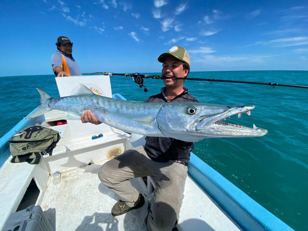 Barracuda Fly fishing Cancun Quintana Roo