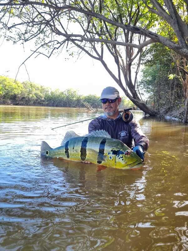 Releasing peacock bass catch at Cano Gavilan Vichada Colombia