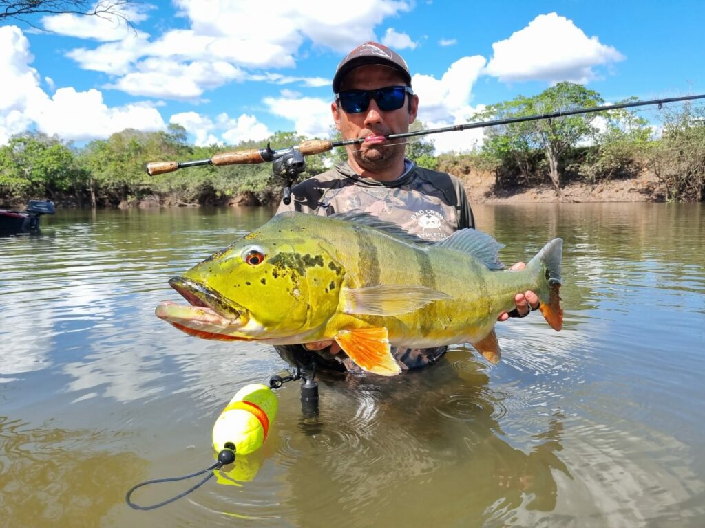 Come and fish Peacock Bass in the Caño Gavilán River in Colombia