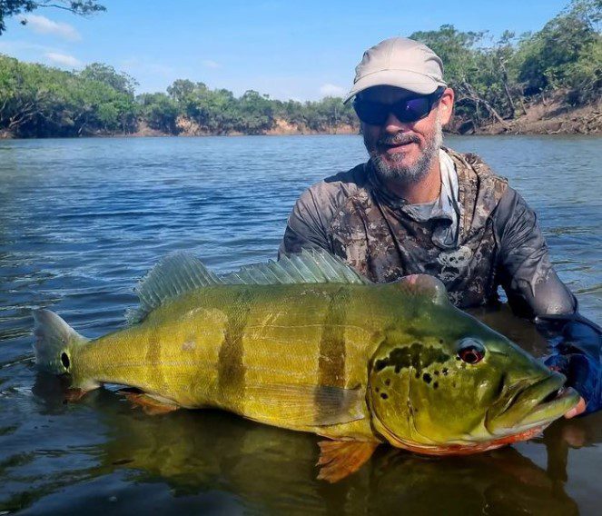 Catching Peacock Bass in the winter 🎥☀️🎣.. • • #peacockbass  #peacockbassfishing #bassfishing #fishing #ilovefishing #fishin