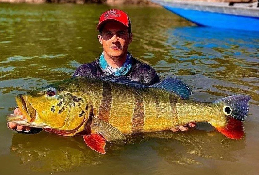 Peacock Bass fishing in Caño Gavilan river, Colombia ⋆ Nomonday