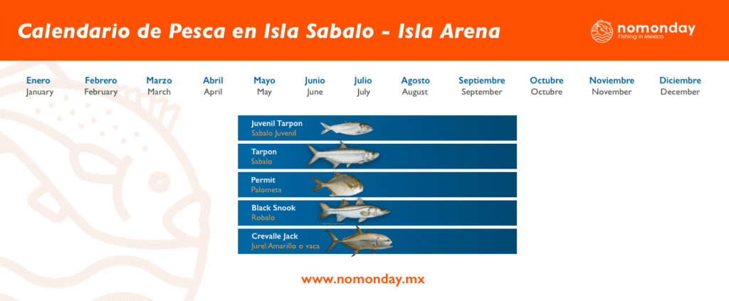 Temporada de Pesca Isla Arena - Isla Sábalo