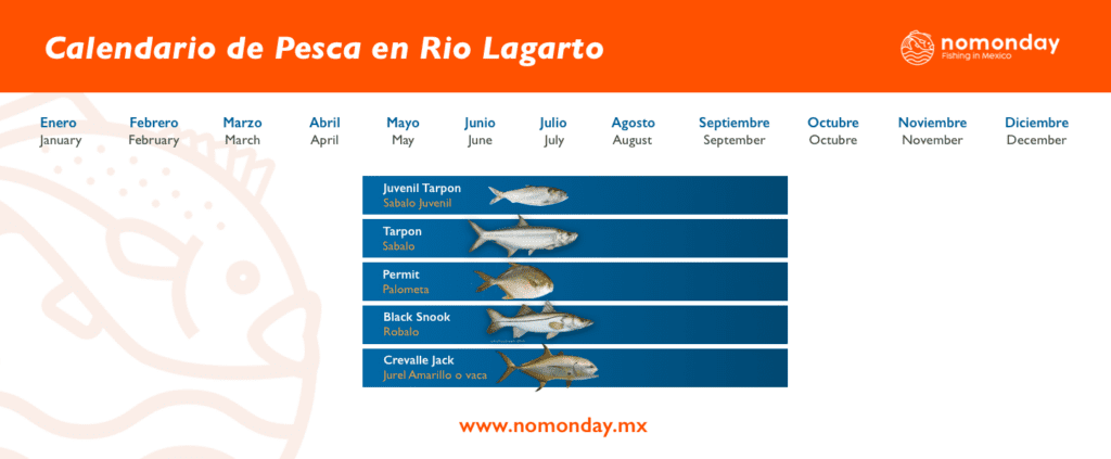 Calendario Rio lagarto
