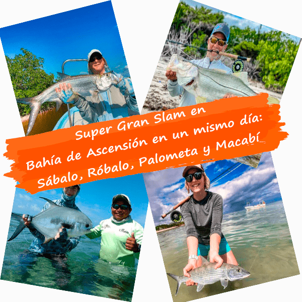 Gran Slam Pesca en Bahia de Ascension