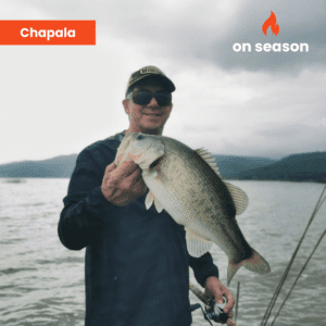 On season bass fishing Lake Chapala 01