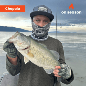 On season bass fishing Lake Chapala 04