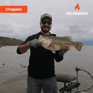 On season bass fishing Lake Chapala 07