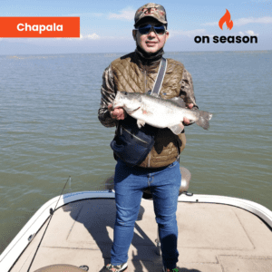 On season bass fishing Lake Chapala 08