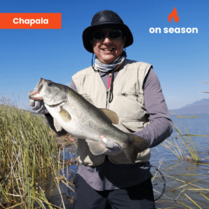 On season bass fishing Lake Chapala 09