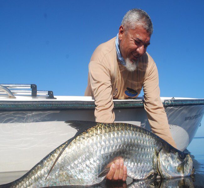 Angler releasing an increditble juvenile tarpon catch at Campeche