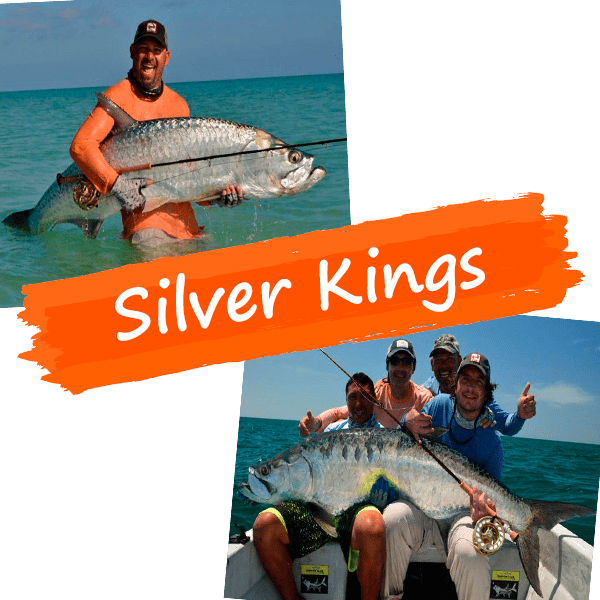 Giang Tarpon Catches at Holbox