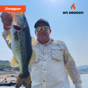 On season bass fishing Lake Zimapan 05