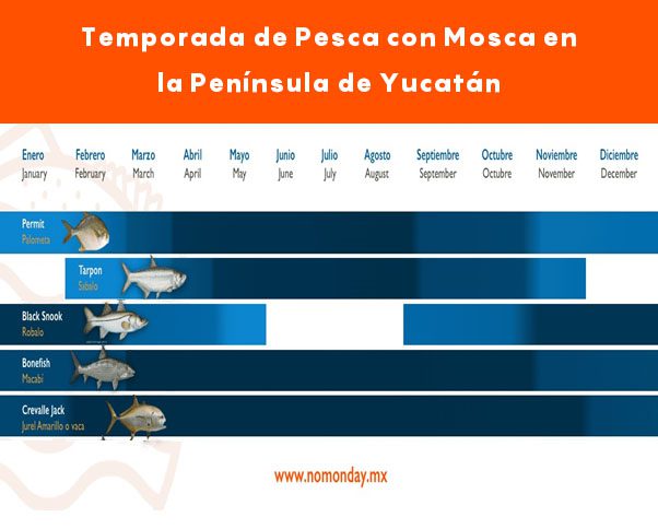 Calendario de Pesca con Mosca en la Península de Yucatán